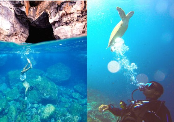 Scuba diving vs freediving