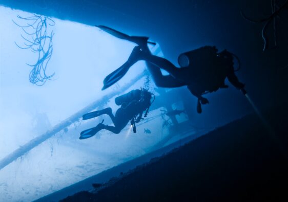 The best scuba diving books of 2022